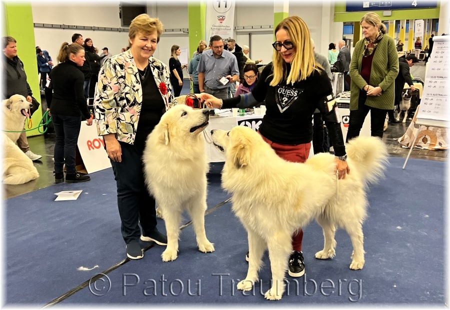 Aránek a Cariňa, Wels 2022